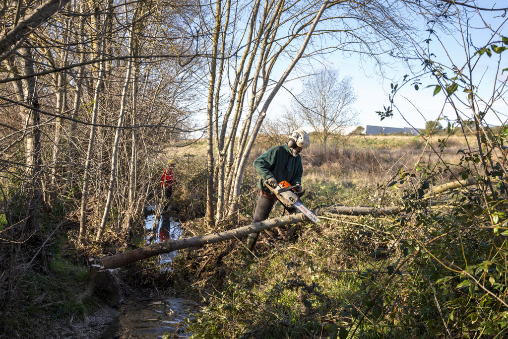 L'entretien des cours d'eau par l'équipe verte de l'EPTB Gardons